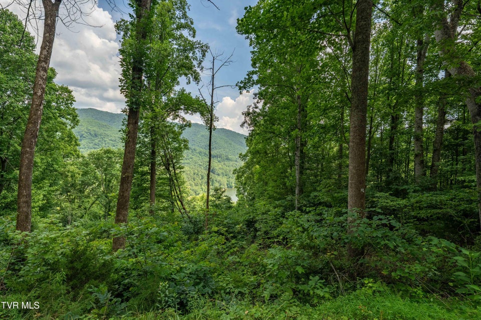 Photo #20: Lot 12 Lake Ridge Road
