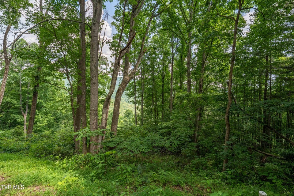 Photo #21: Lot 12 Lake Ridge Road