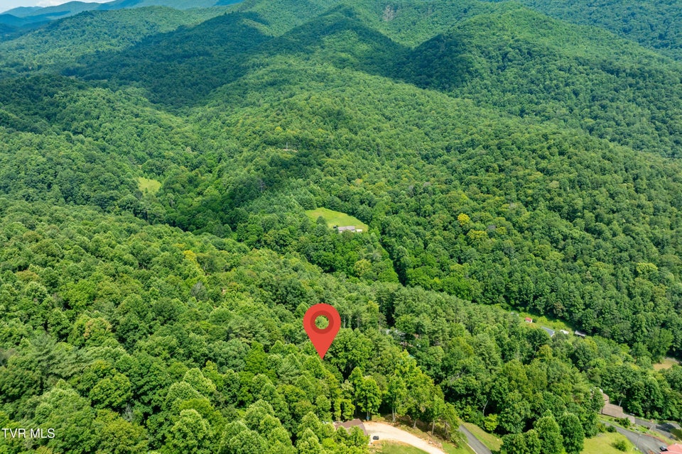 Photo #17: Lot 13 Lake Ridge Road