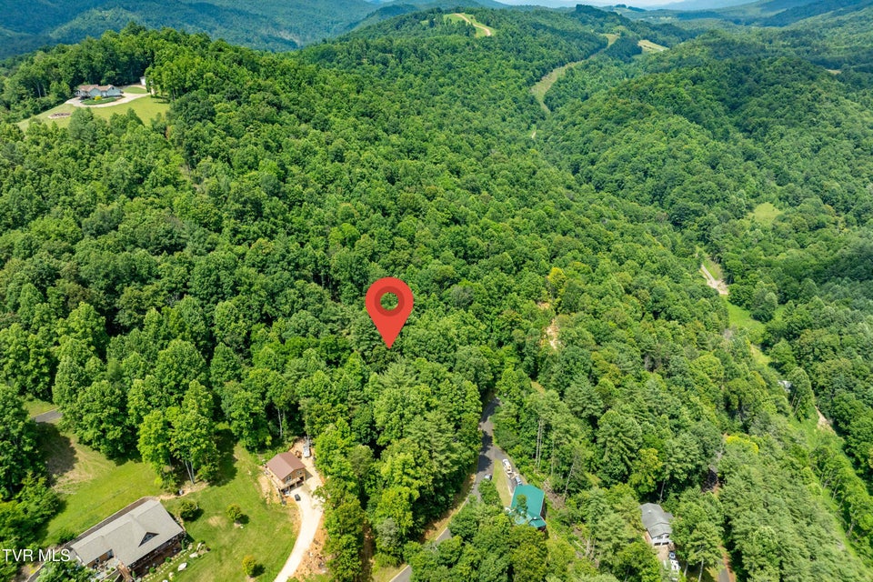 Photo #19: Lot 13 Lake Ridge Road