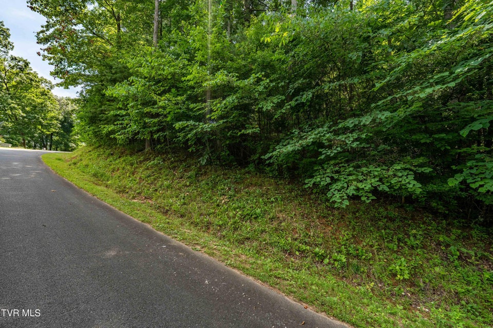 Photo #21: Lot 13 Lake Ridge Road