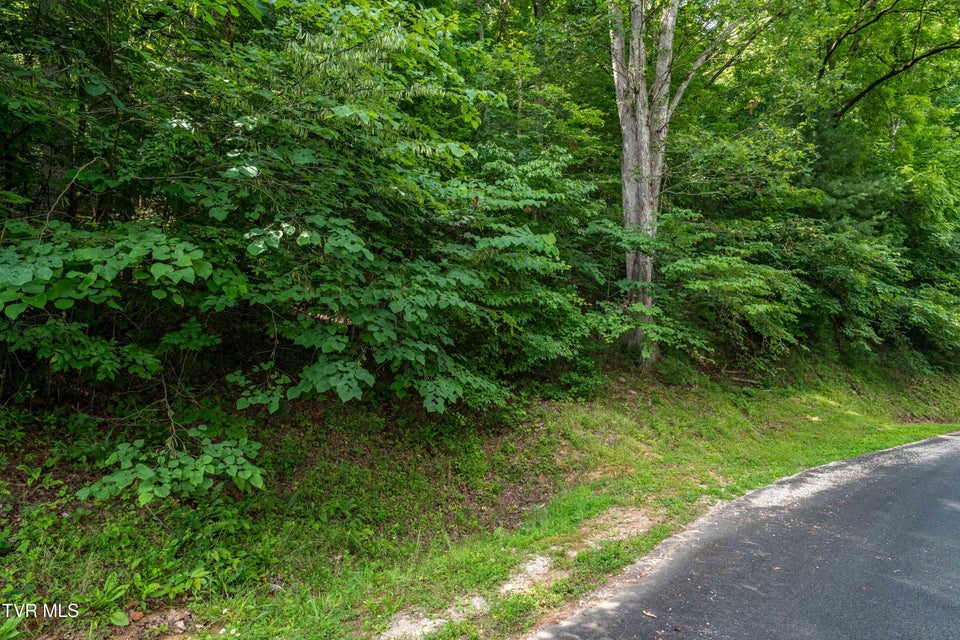 Photo #22: Lot 13 Lake Ridge Road