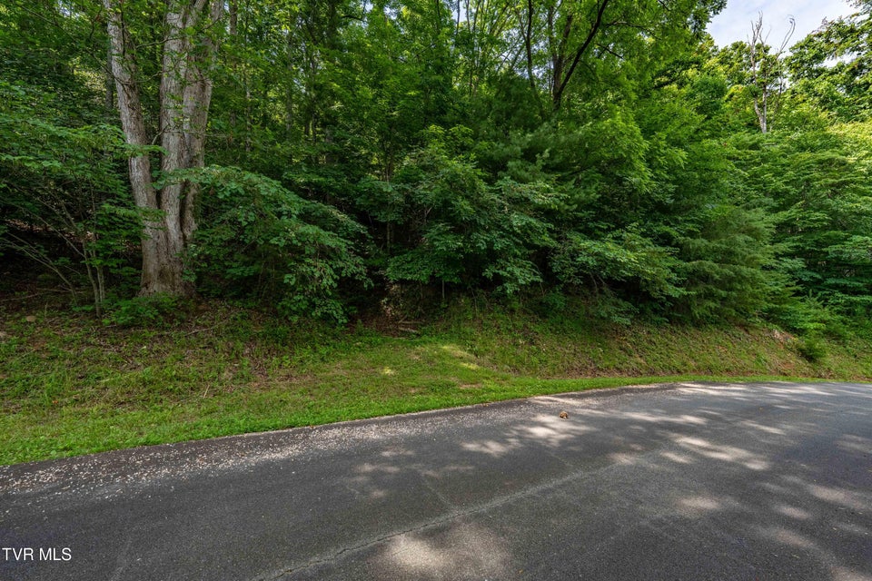 Photo #23: Lot 13 Lake Ridge Road