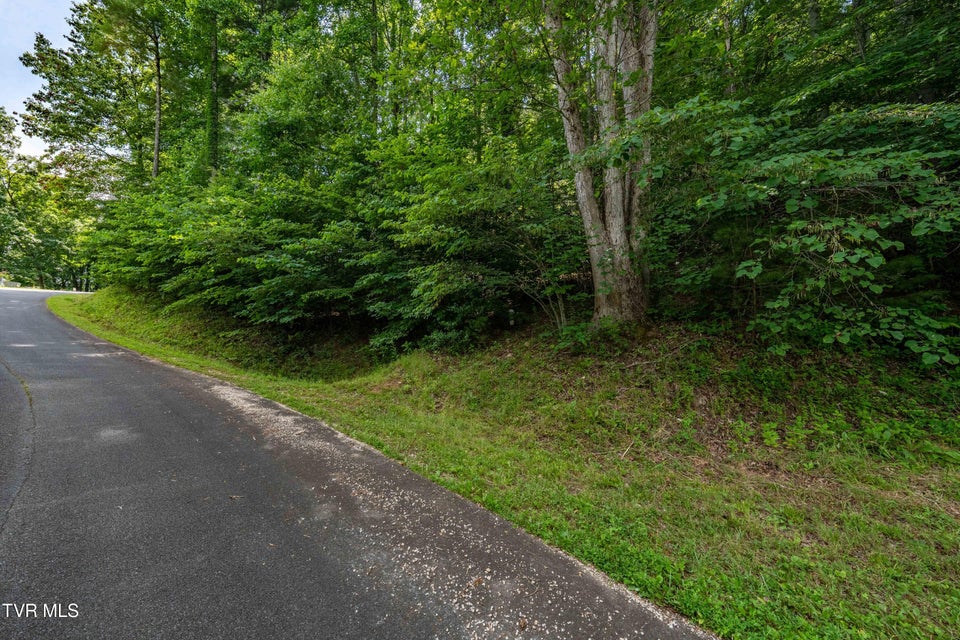 Photo #24: Lot 13 Lake Ridge Road