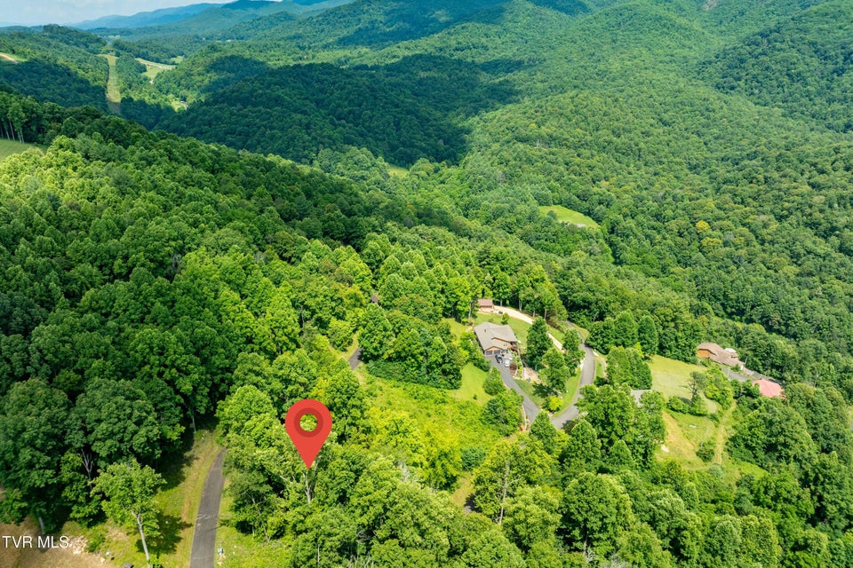 Photo #19: Lot 17 Lake Ridge Road