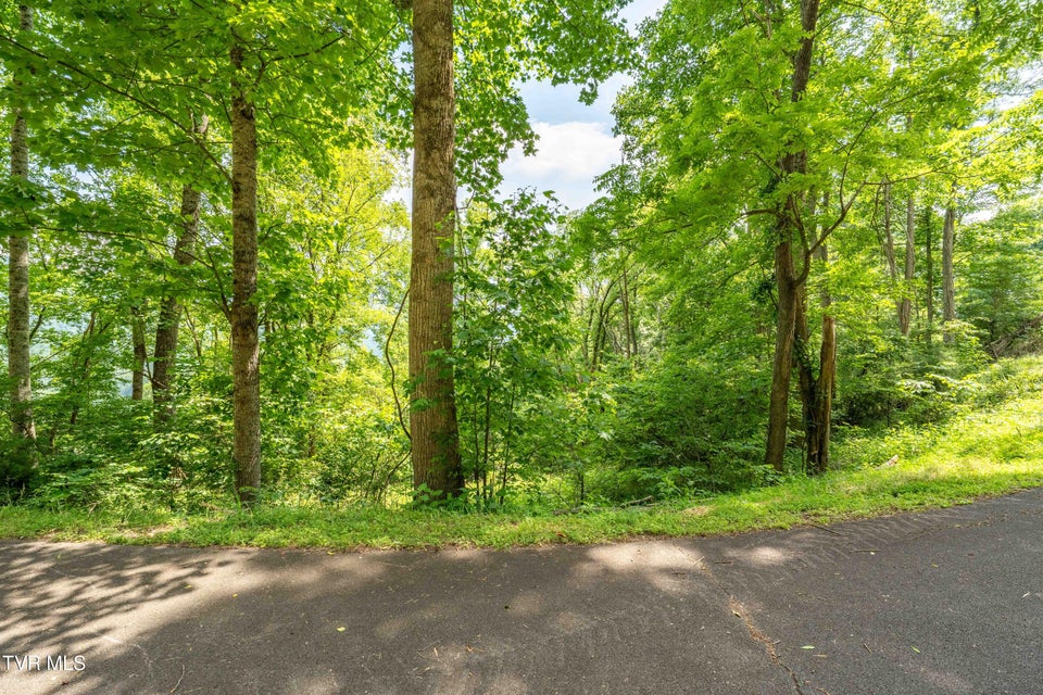Photo #25: Lot 17 Lake Ridge Road