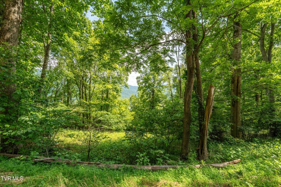 Photo #26: Lot 17 Lake Ridge Road