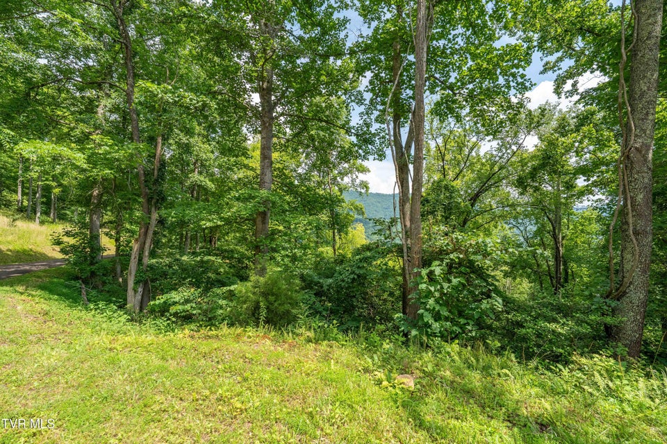 Photo #27: Lot 17 Lake Ridge Road