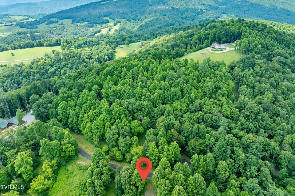 Photo #3: Lot 20 Lake Ridge Road