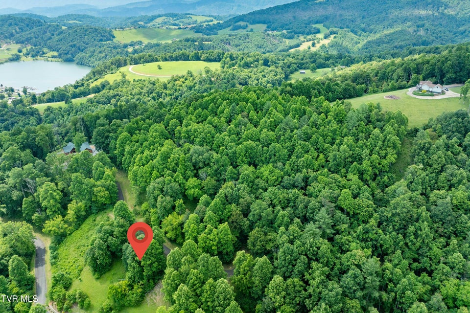 Photo #5: Lot 20 Lake Ridge Road