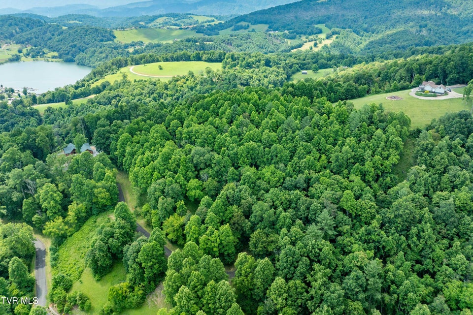Photo #6: Lot 20 Lake Ridge Road