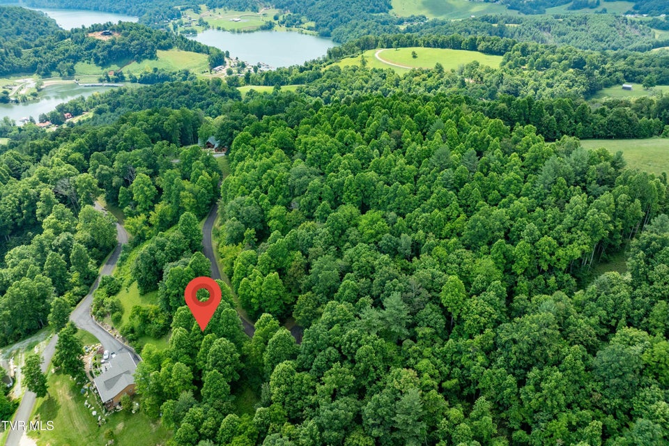 Photo #7: Lot 20 Lake Ridge Road