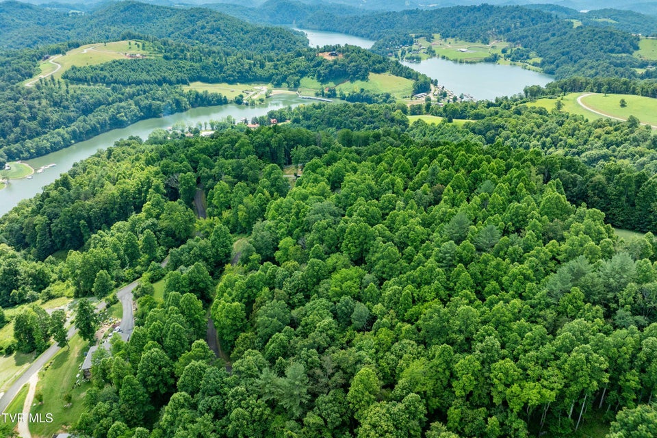 Photo #10: Lot 20 Lake Ridge Road