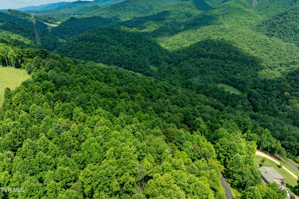 Photo #20: Lot 20 Lake Ridge Road