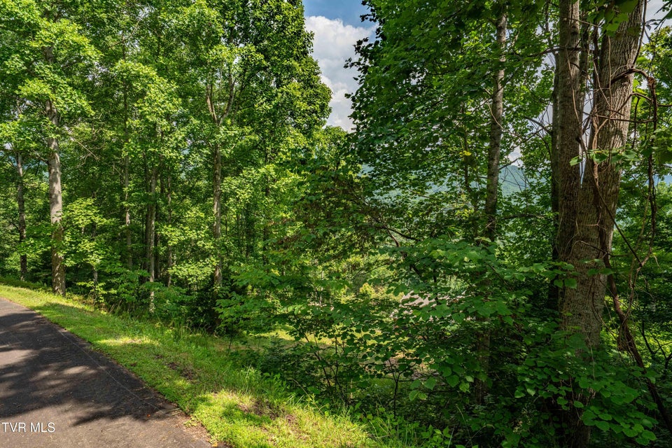 Photo #24: Lot 20 Lake Ridge Road
