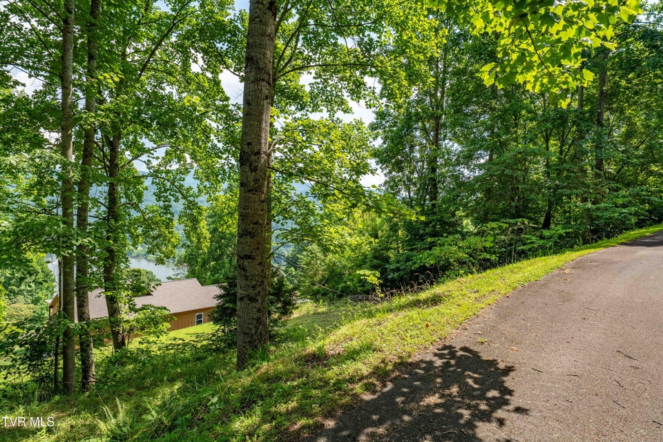 Photo #25: Lot 20 Lake Ridge Road