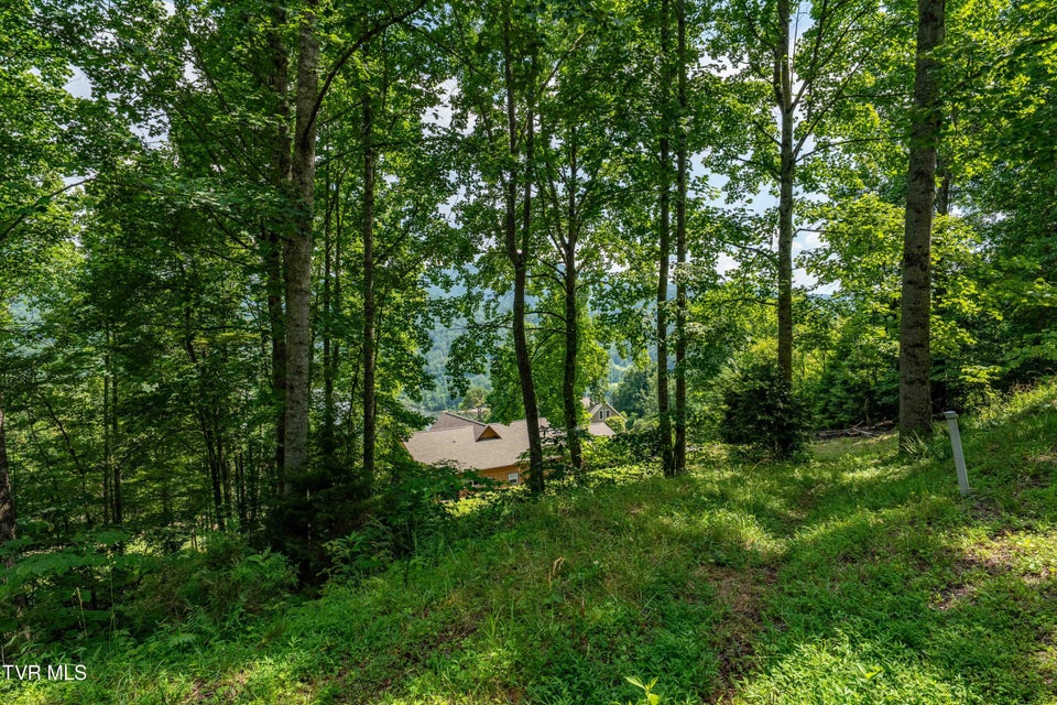 Photo #26: Lot 20 Lake Ridge Road