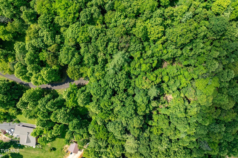 Photo #2: Lot 21 Lake Ridge Road