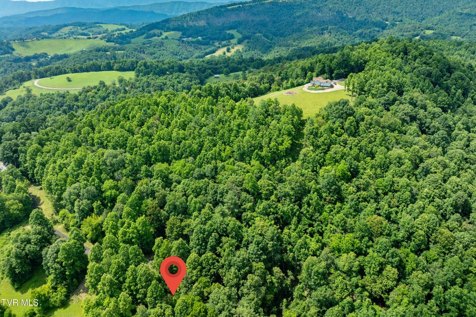 Photo #3: Lot 21 Lake Ridge Road