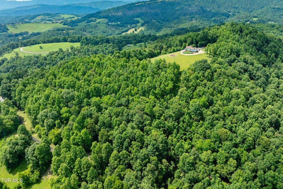 Photo #4: Lot 21 Lake Ridge Road