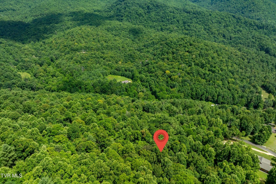 Photo #15: Lot 21 Lake Ridge Road
