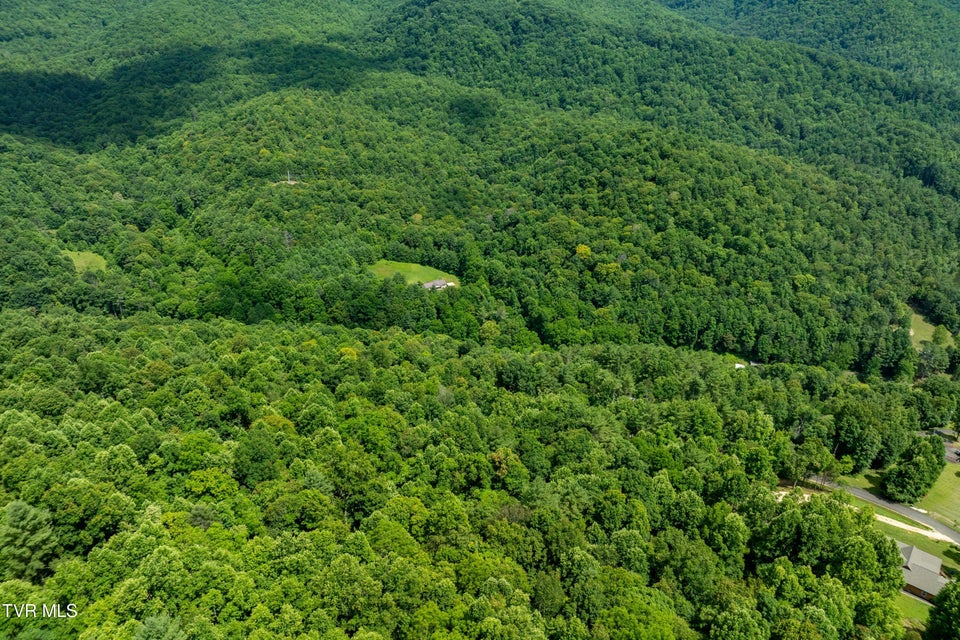 Photo #16: Lot 21 Lake Ridge Road
