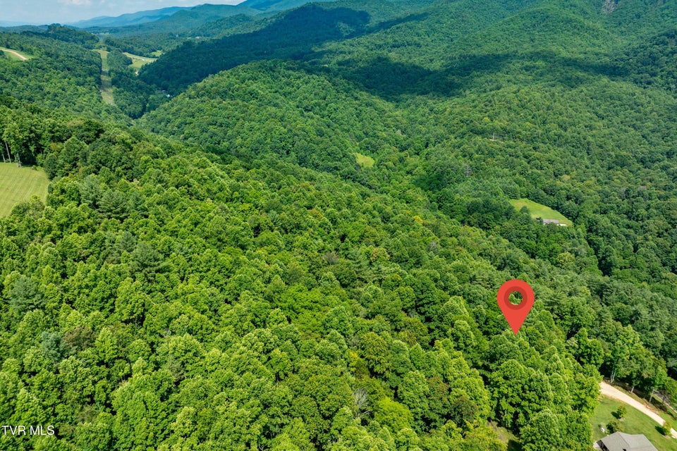 Photo #17: Lot 21 Lake Ridge Road