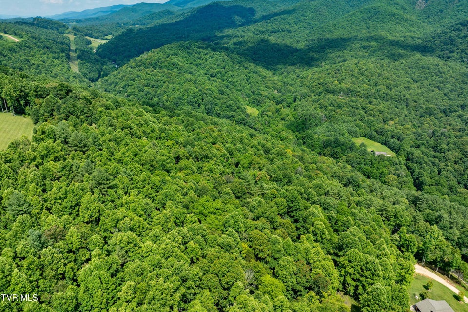 Photo #18: Lot 21 Lake Ridge Road