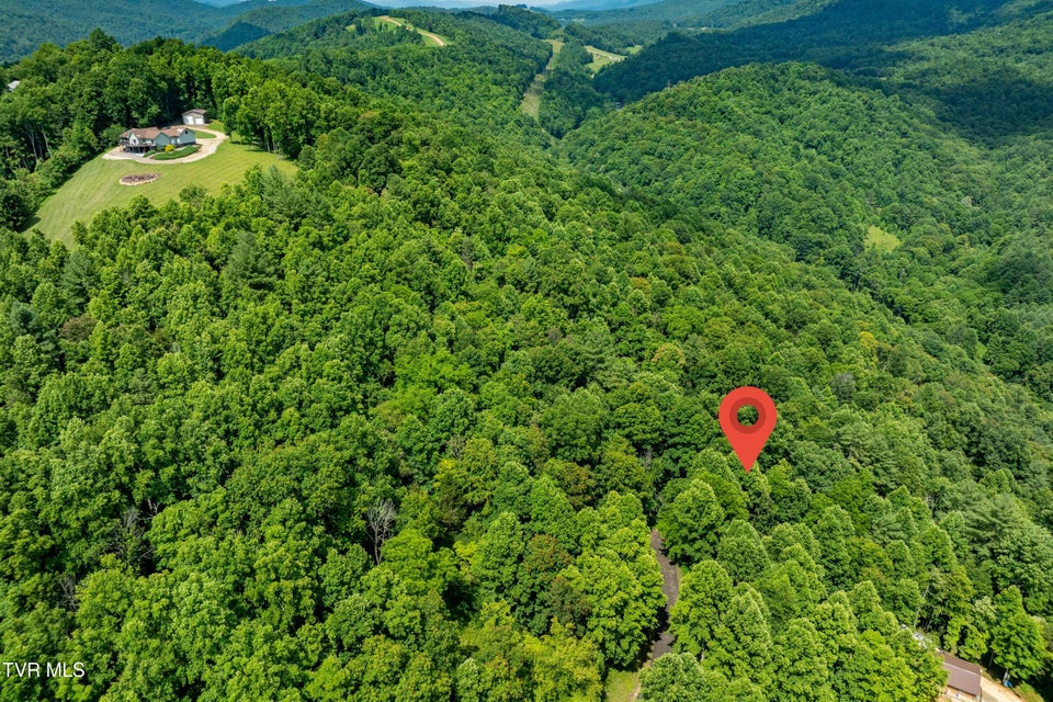 Photo #19: Lot 21 Lake Ridge Road