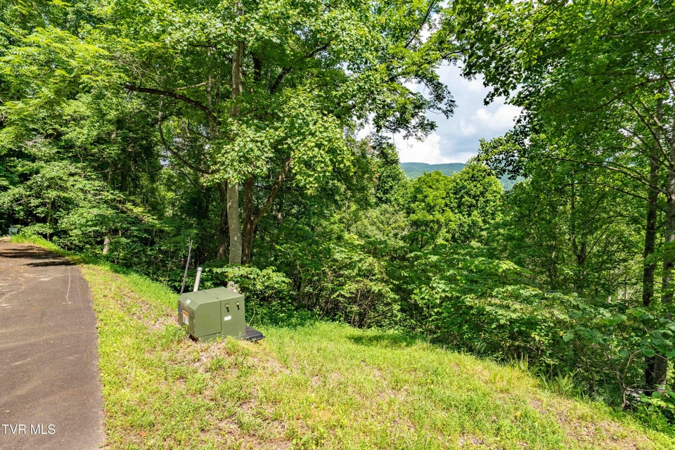 Photo #23: Lot 21 Lake Ridge Road