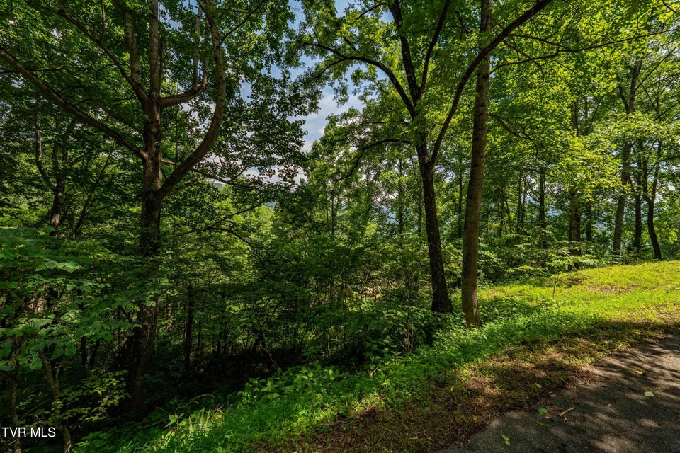 Photo #24: Lot 21 Lake Ridge Road