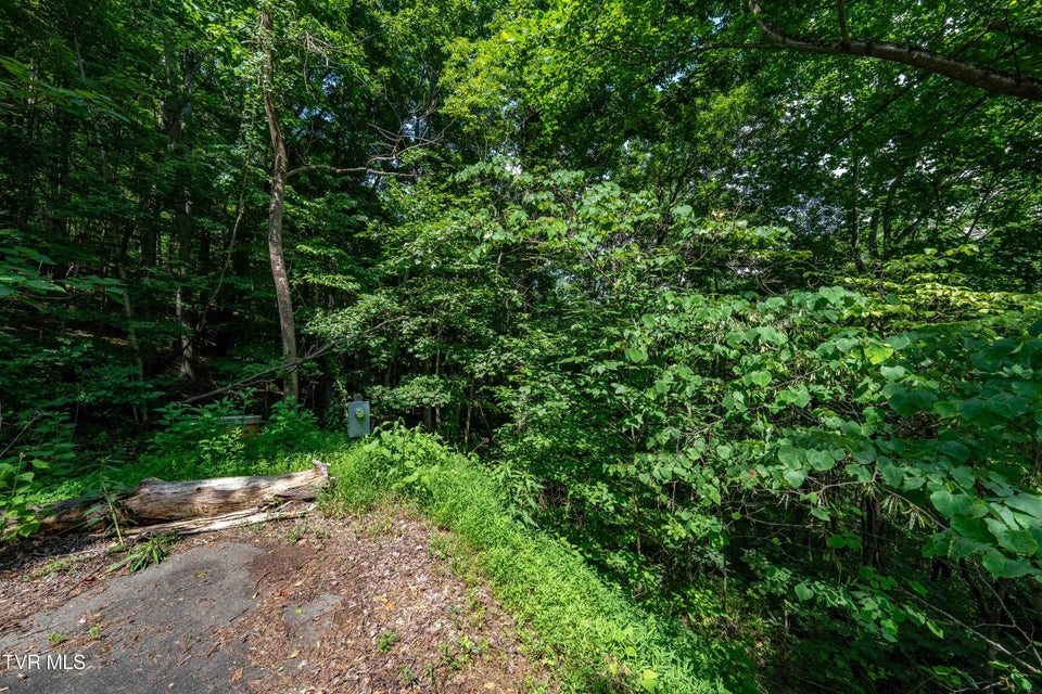 Photo #25: Lot 21 Lake Ridge Road