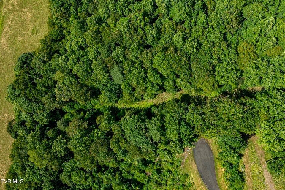 Photo #2: Lot 30 Lake Ridge Road