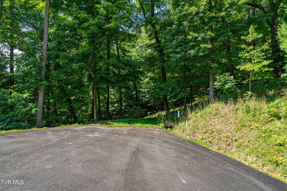 Photo #27: Lot 30 Lake Ridge Road