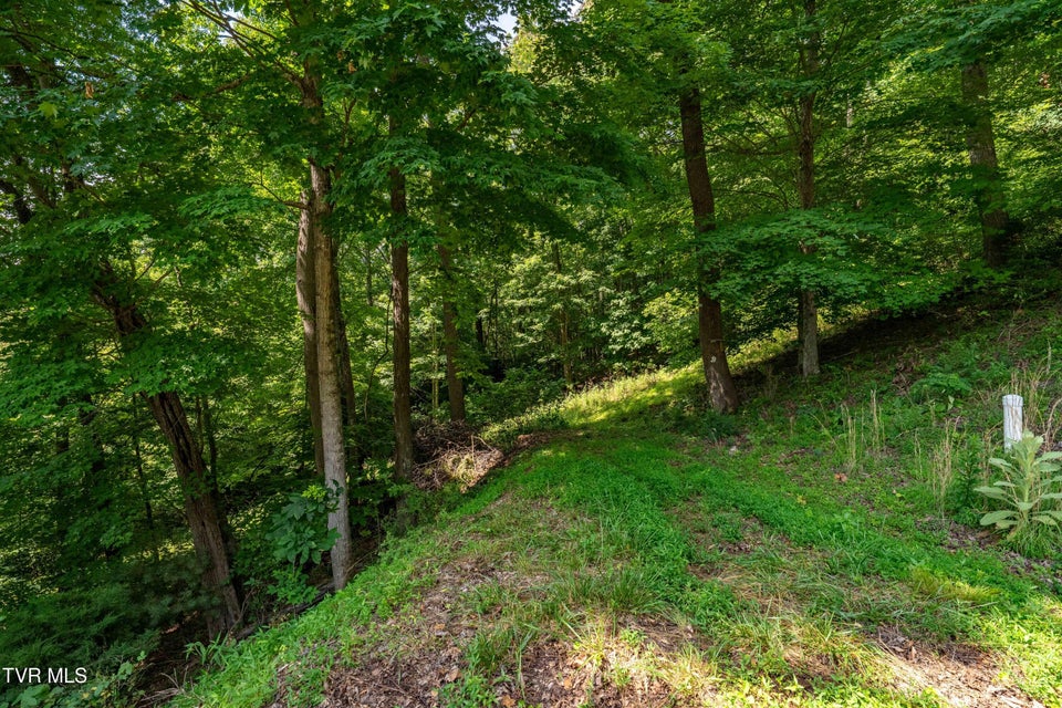 Photo #28: Lot 30 Lake Ridge Road