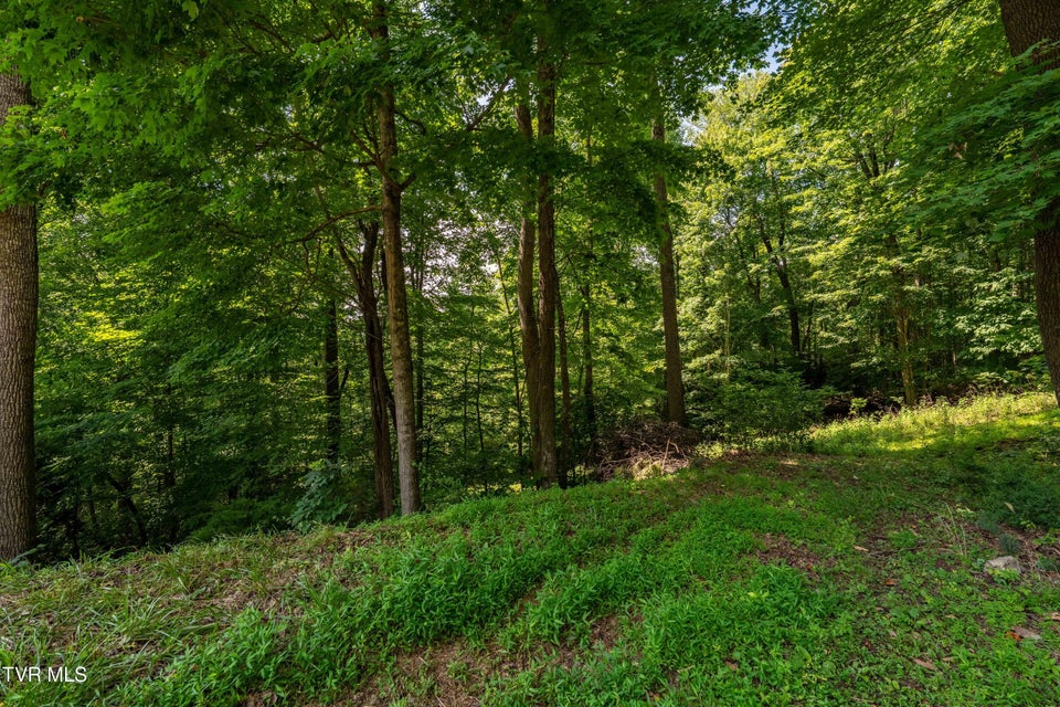 Photo #29: Lot 30 Lake Ridge Road