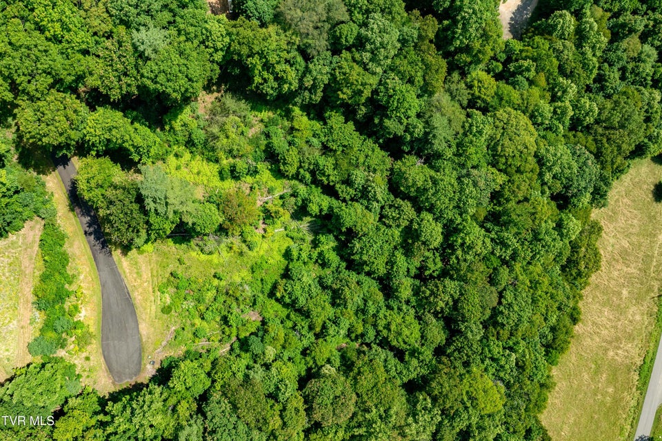 Photo #2: Lot 31 Lake Ridge Road