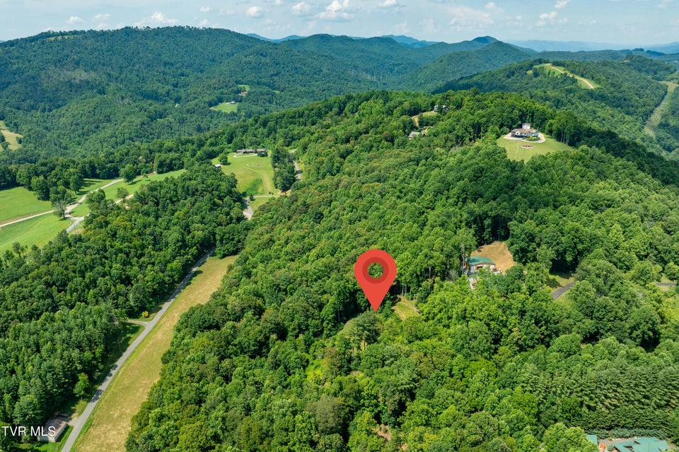 Photo #9: Lot 31 Lake Ridge Road