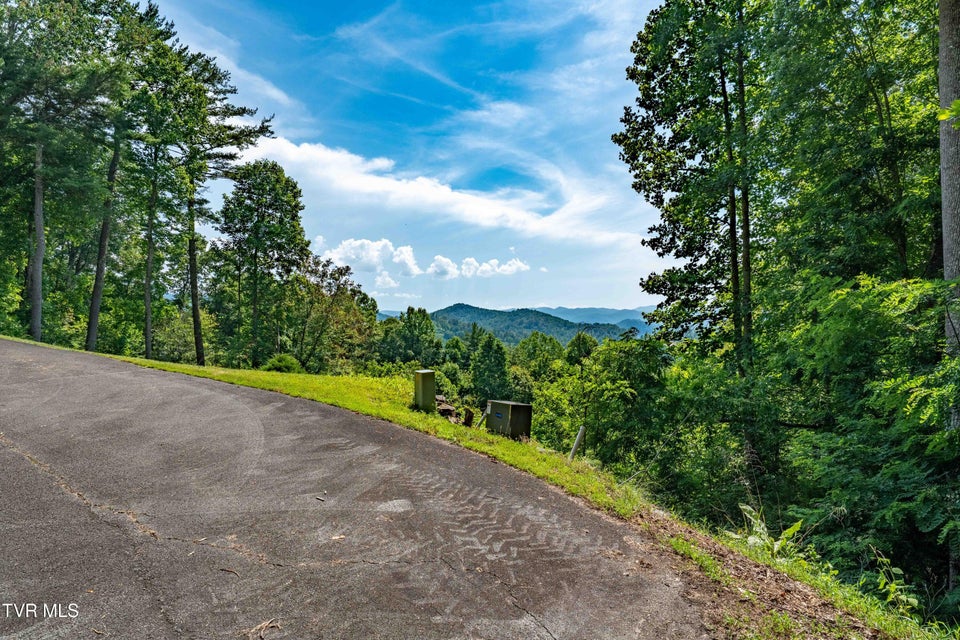 Photo #27: Lot 31 Lake Ridge Road