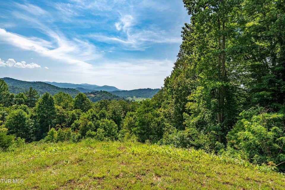 Photo #28: Lot 31 Lake Ridge Road