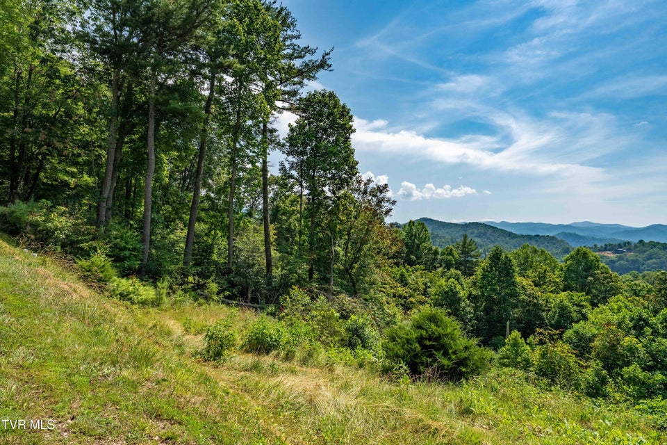 Photo #29: Lot 31 Lake Ridge Road