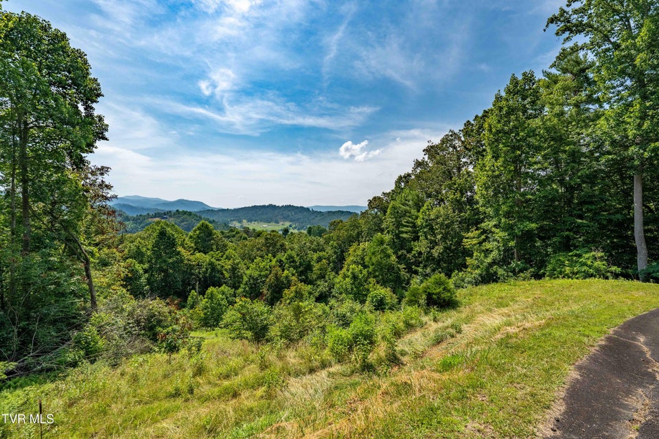 Photo #30: Lot 31 Lake Ridge Road