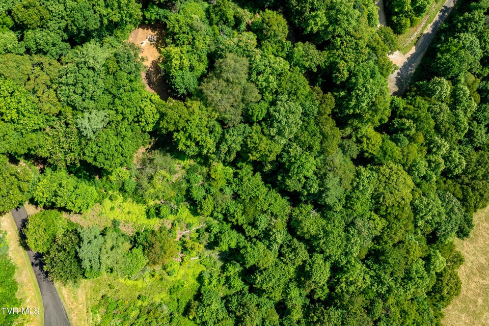 Photo #2: Lot 32 Lake Ridge Road