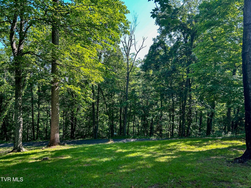 Photo #41: 48 Wood Land Circle