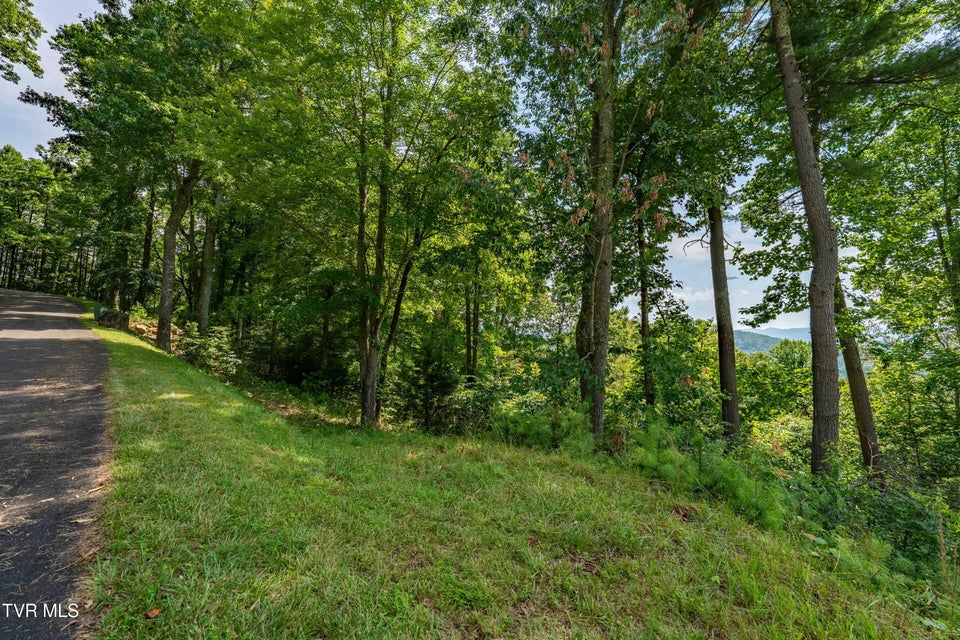 Photo #27: Lot 32 Lake Ridge Road