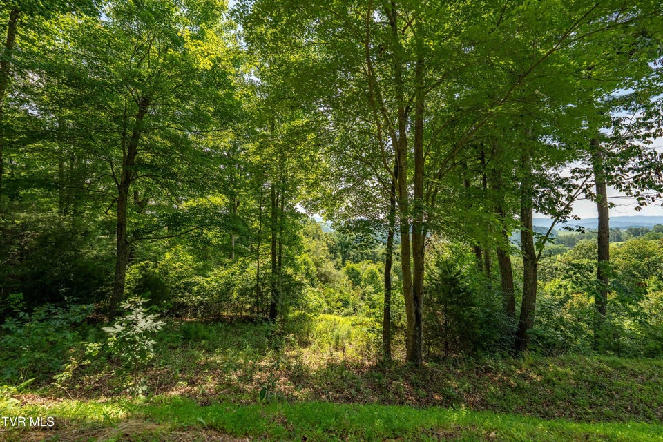 Photo #28: Lot 32 Lake Ridge Road