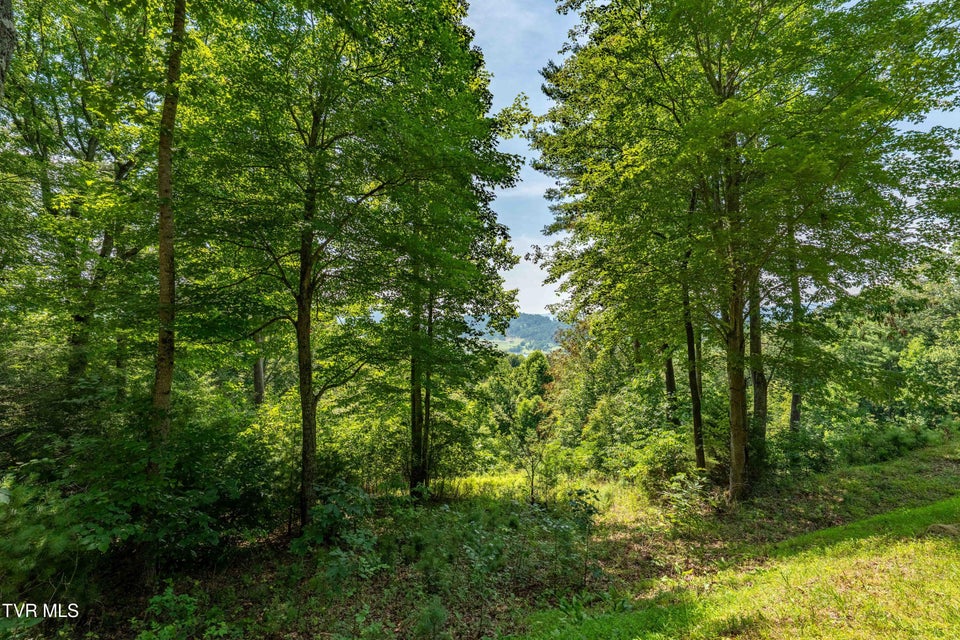 Photo #29: Lot 32 Lake Ridge Road