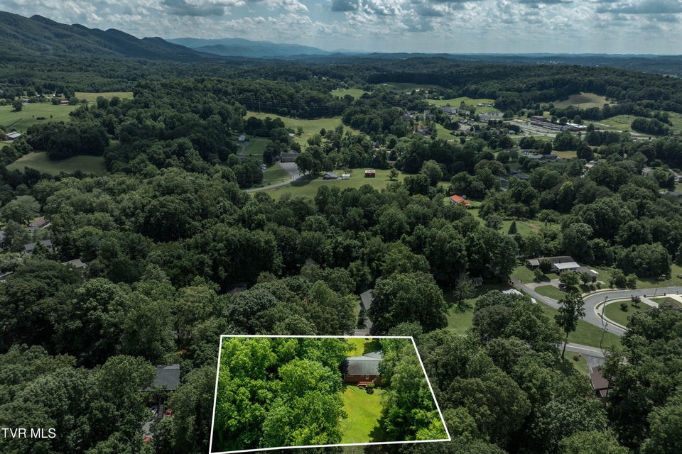 Photo #48: 1903 Triangle Road