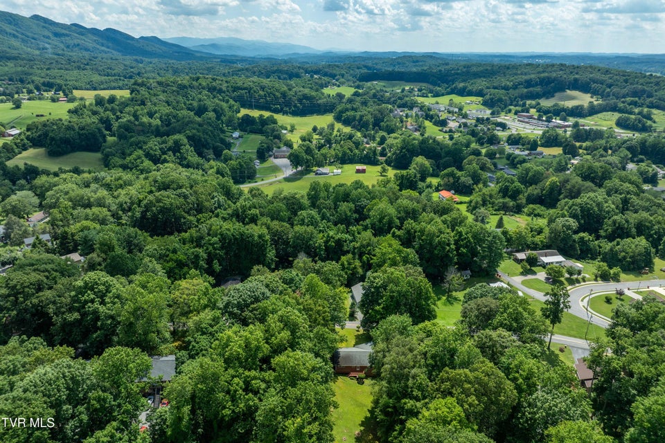 Photo #49: 1903 Triangle Road