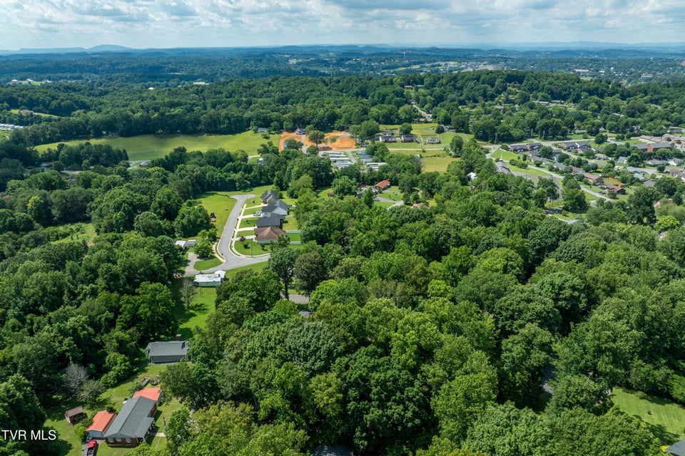 Photo #51: 1903 Triangle Road
